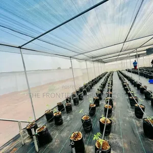 Commercial Greenhouse