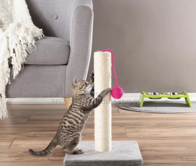 Potable Cat Scratching Post