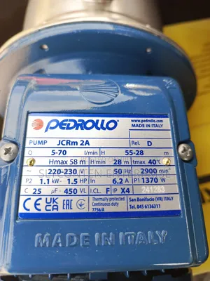 Pedrollo 1.5HP Stainless Water Pump