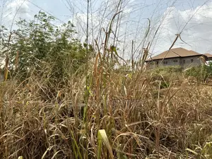 Full One Plot for Sale at Konkoli .