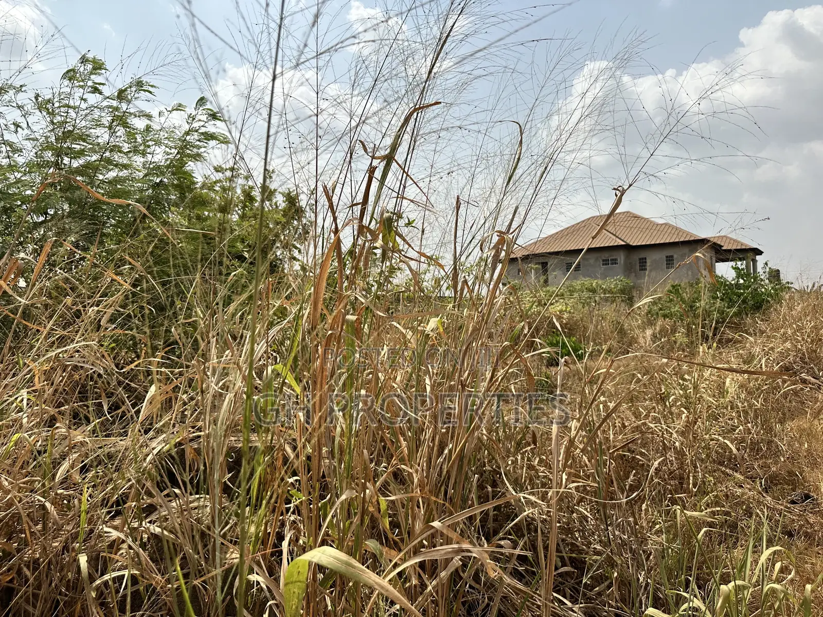 Full One Plot for Sale at Konkoli .