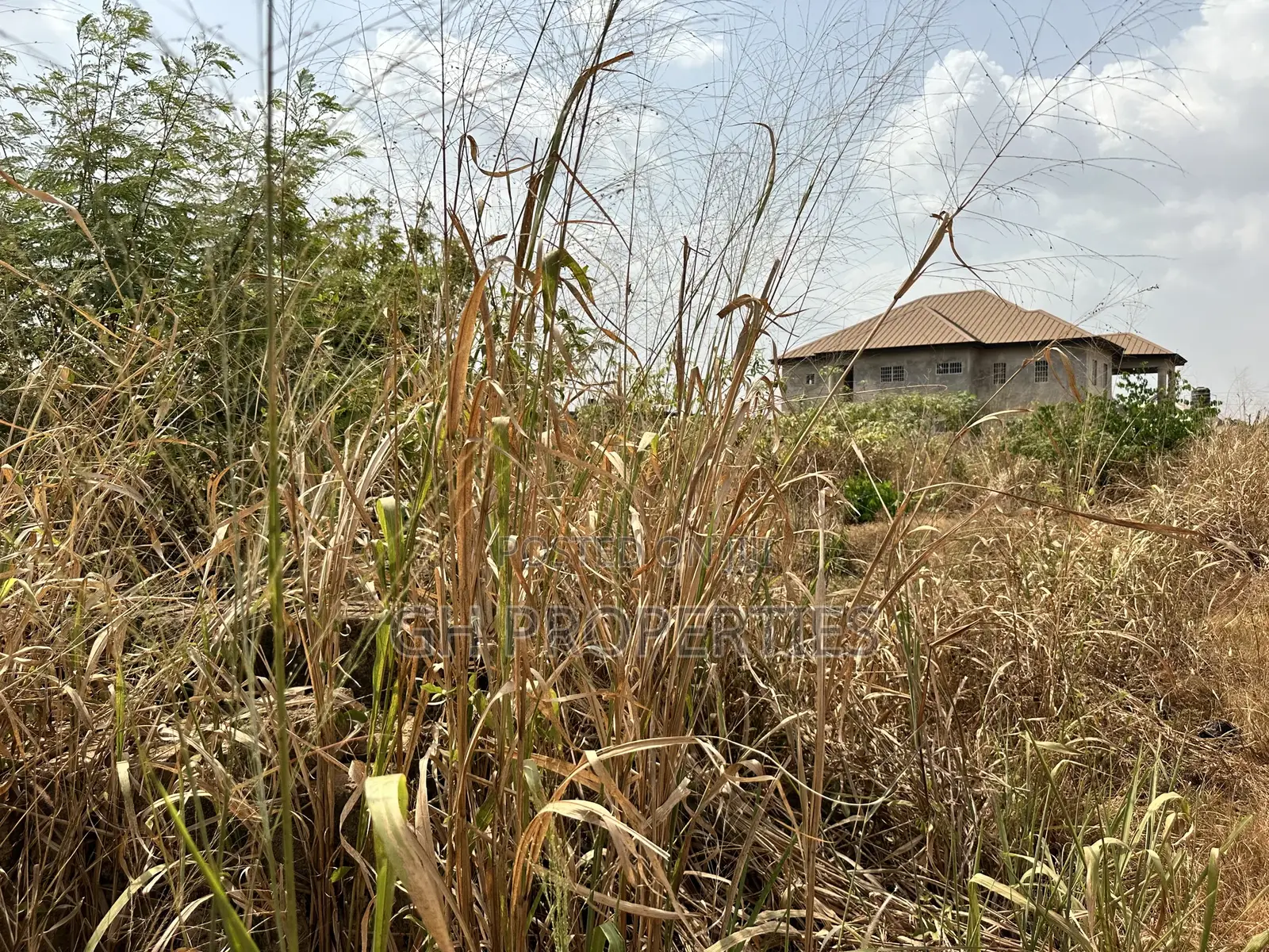 Full One Plot for Sale at Konkoli .