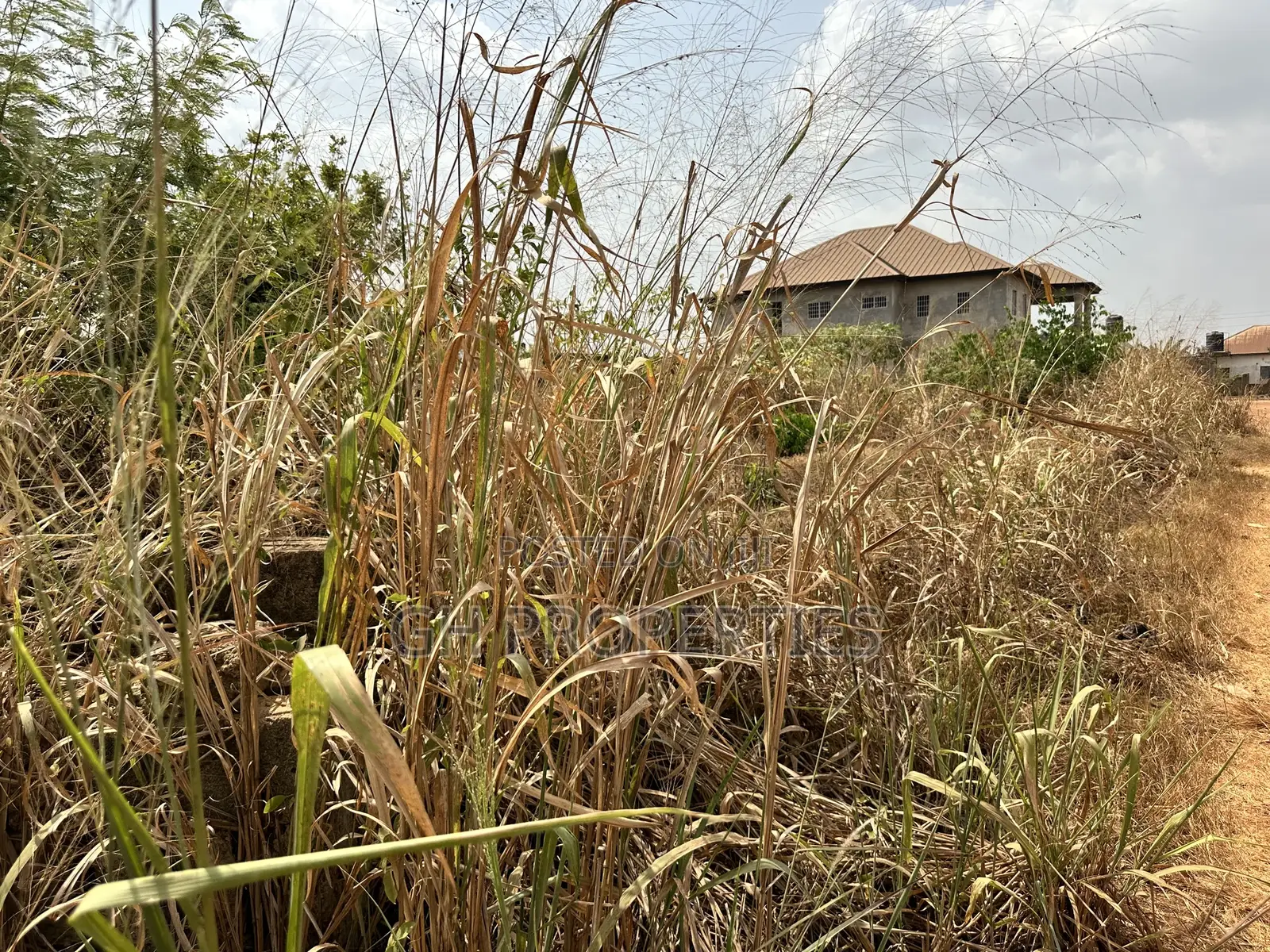 Full One Plot for Sale at Konkoli .