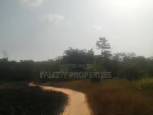 200 Acres of Farm Lands for Sale in Effiduase Areas
