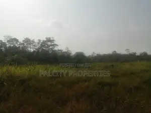 200 Acres of Farm Lands for Sale in Effiduase Areas