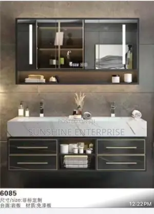 Double Cabinet Basin