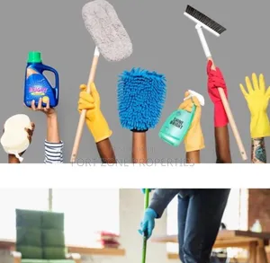 Home and Factory Cleaners Hub