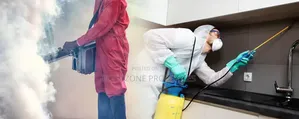 Manex Fumigation With Cleantex