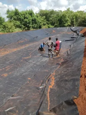 Dam / Reservoirs / Fish Pond Construction