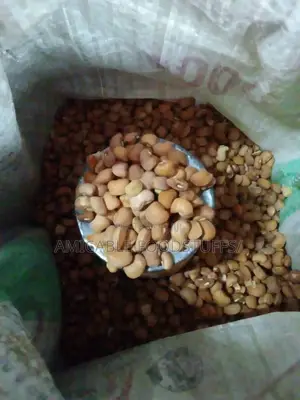 Nigerian Brown Beans