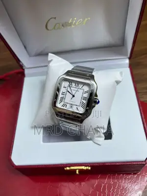 Silver Cartier Santos