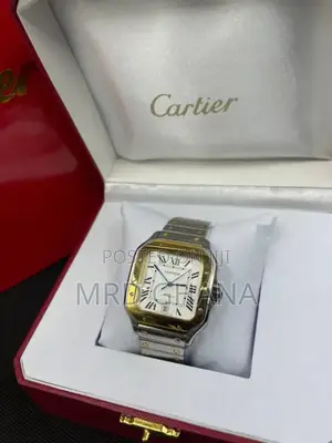Gold and Brown Silver Cartier Santos
