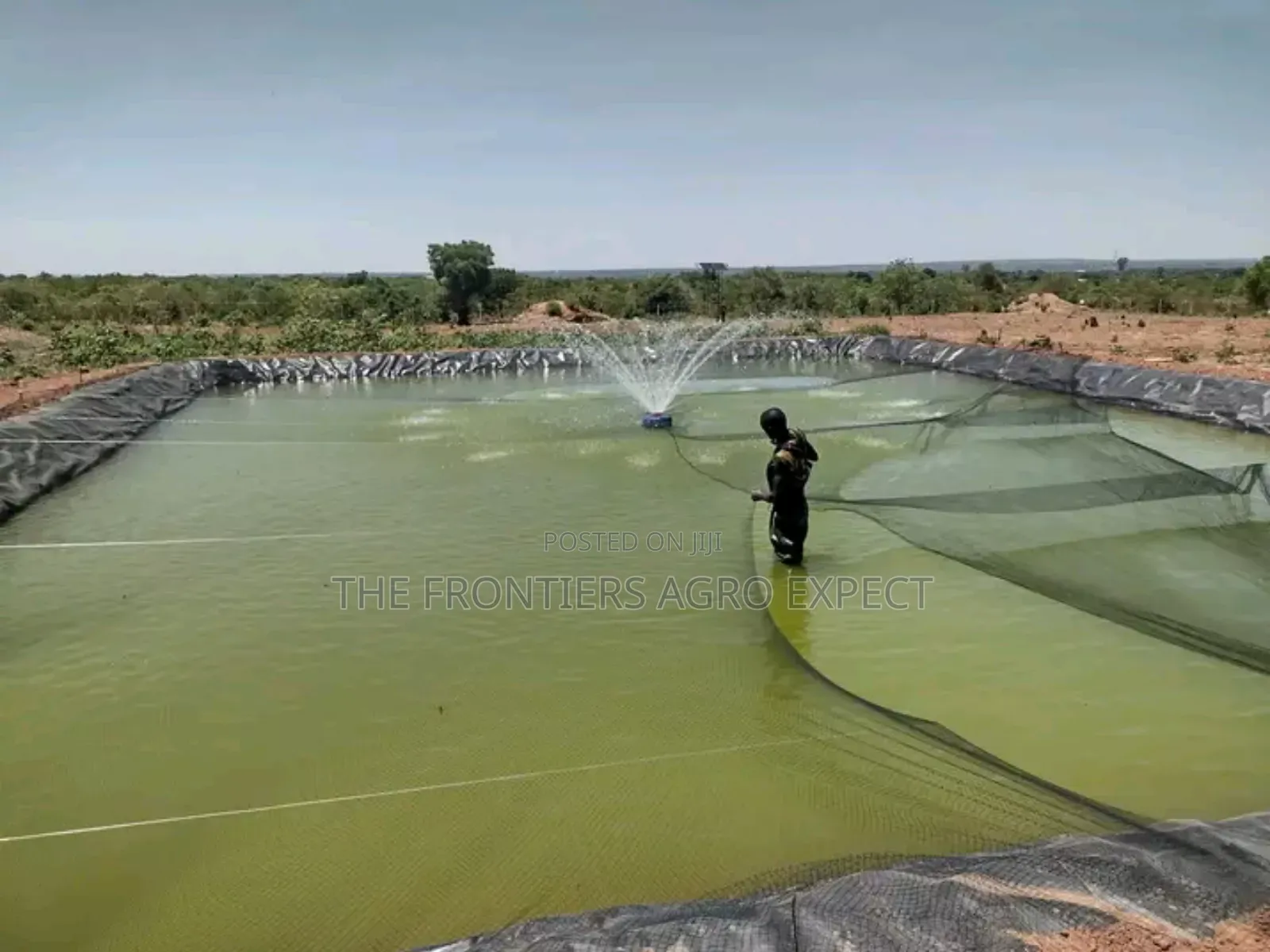 Commercial Earthen Pond