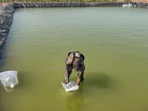 Commercial Earthen Pond