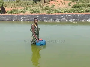 Commercial Earthen Pond