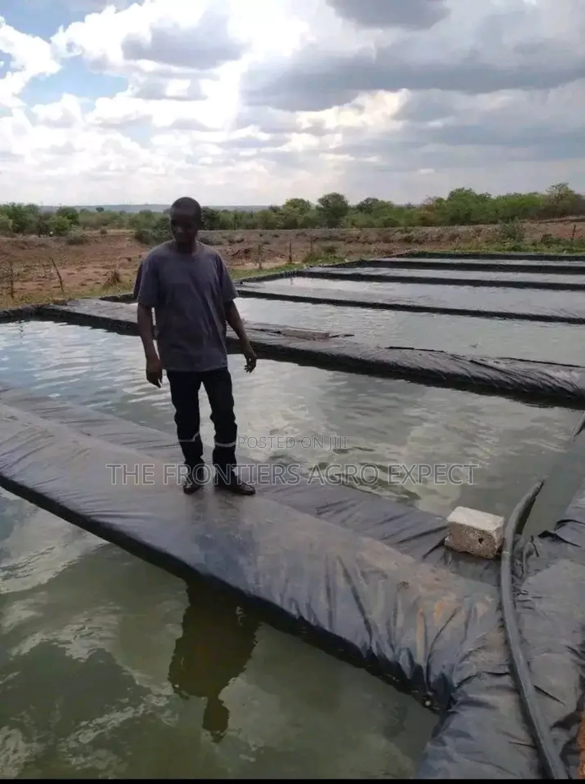 Tilapia Earthen Pond
