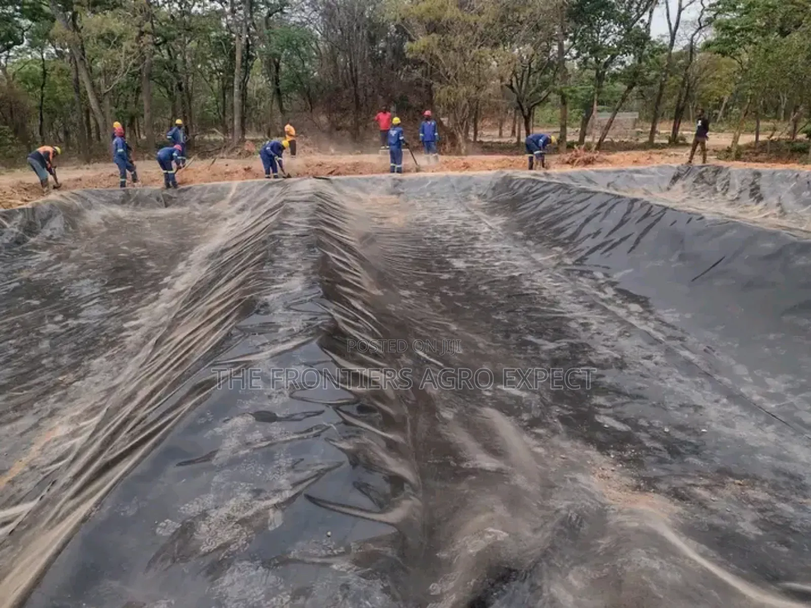 Tilapia Earthen Pond