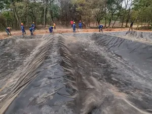 Tilapia Earthen Pond