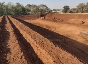 Tilapia Earthen Pond