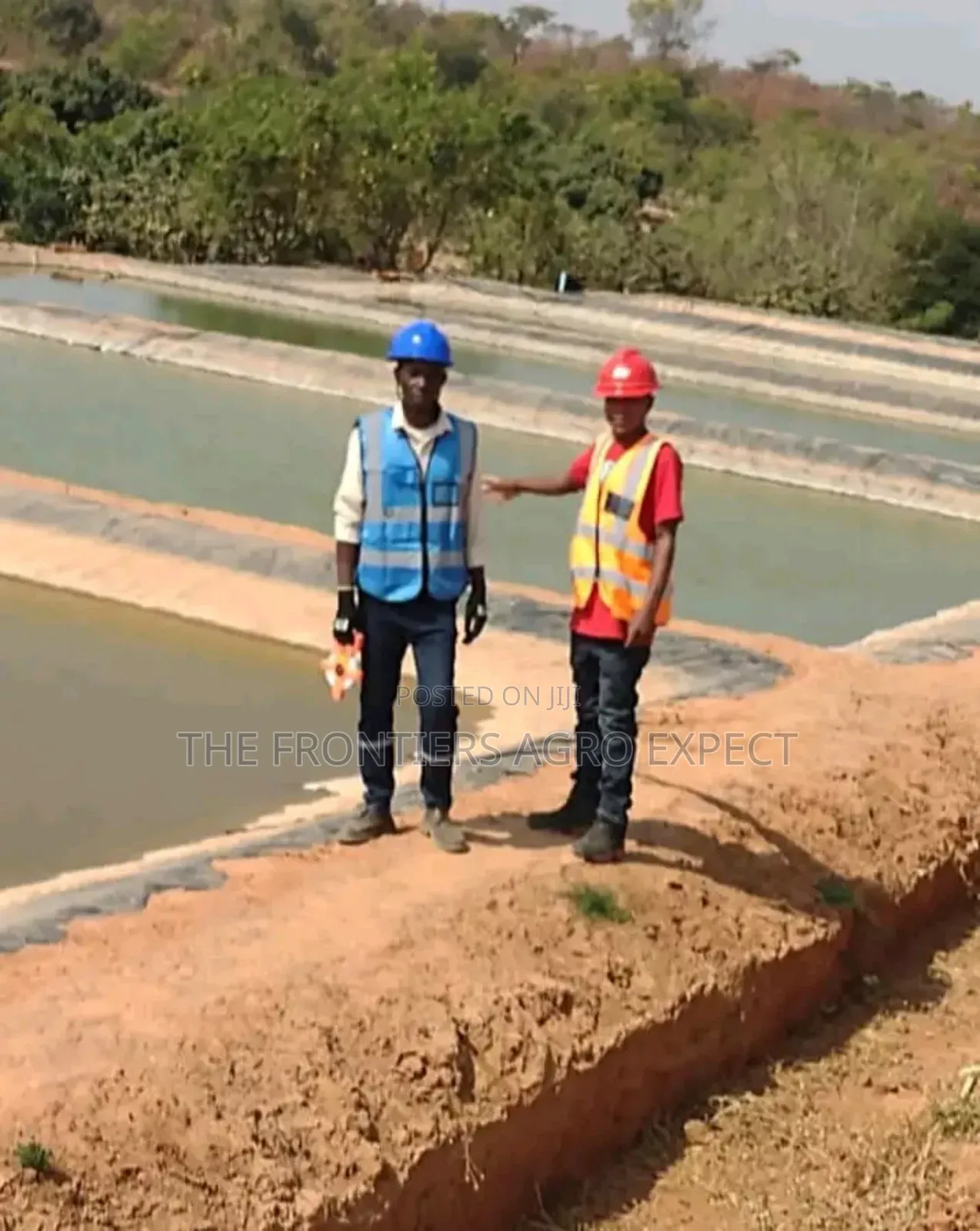 Tilapia Earthen Pond