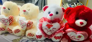 Teddy Bear-Valentine/Birthday/All Occasions