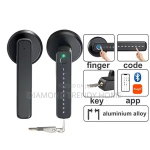 Smart Lock for Wooden Doors