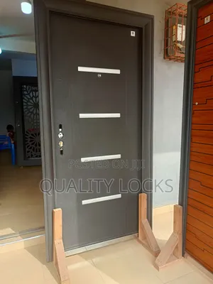 New Quality Standard Black Security Door