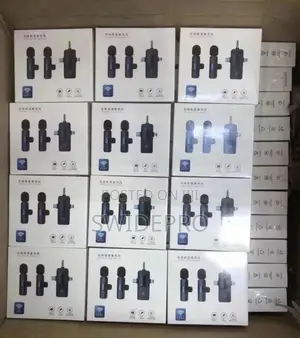 3 in 1 Wireless Microphone