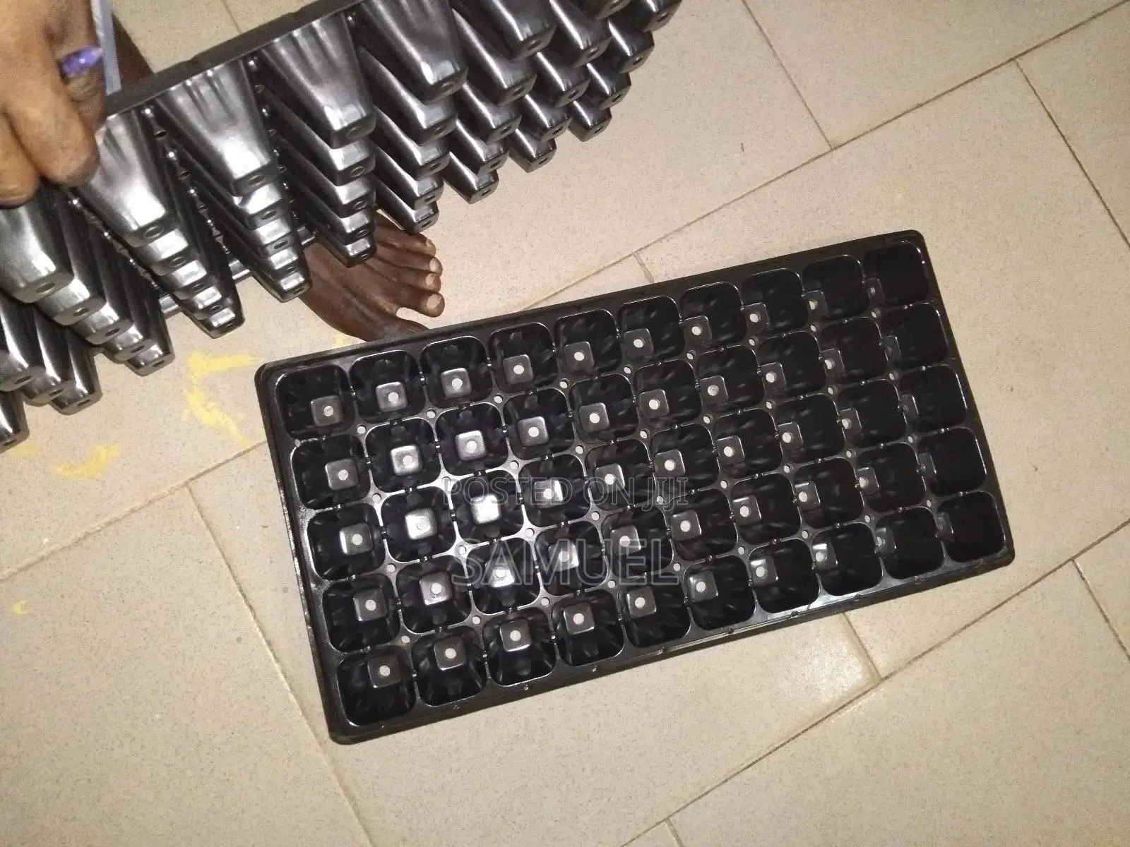 Seeding Trays