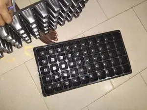 Seeding Trays