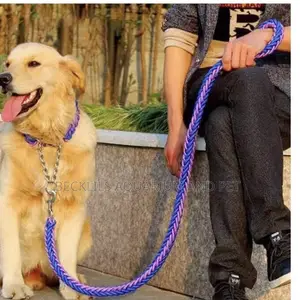 Collars With Leash for Bigger Dogs