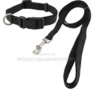 Adjustable Collar With Leash Set