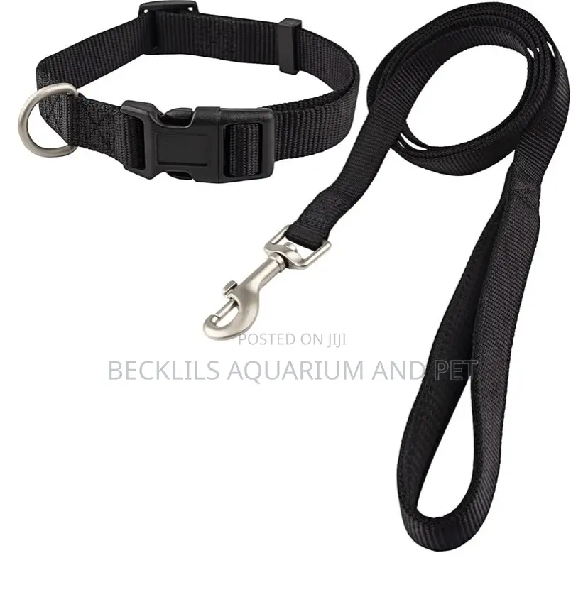 Adjustable Collar With Leash Set