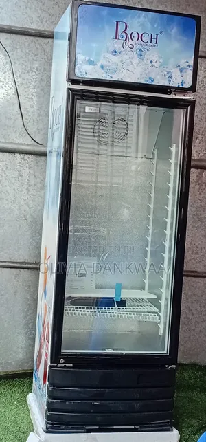 Original Roch Display 290L Fridge Fridge