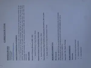 Project Manager
