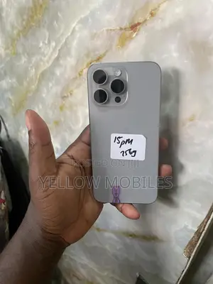 Apple iPhone 15 Pro Max 256 GB Gray