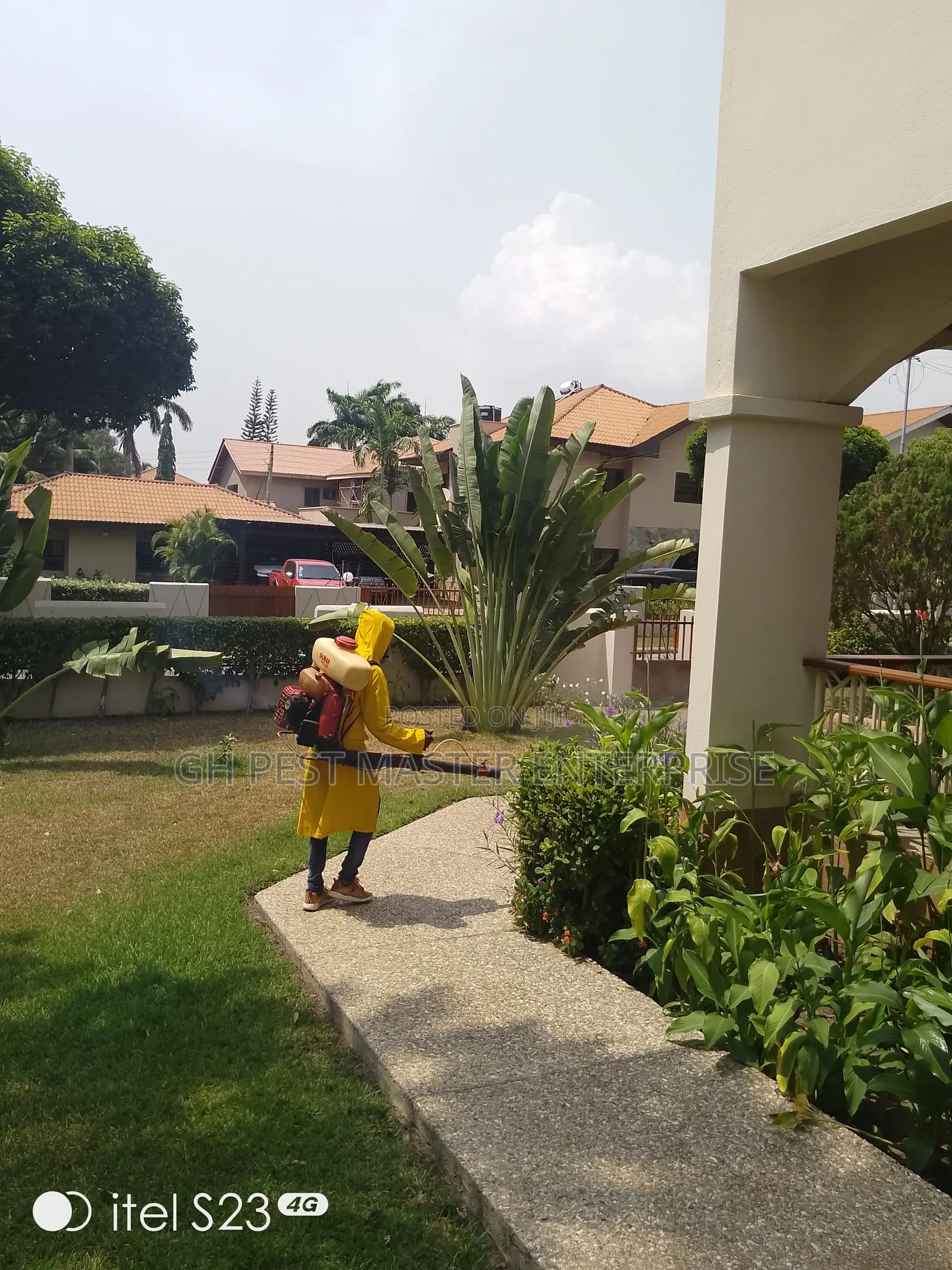 Bedbugs,Cockroaches,Mosquitoes, Snake Fumigation Service