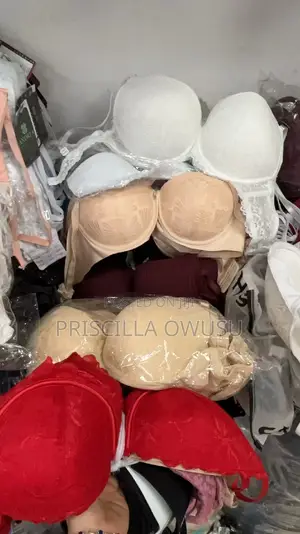 Ladies Brassiere / Bra