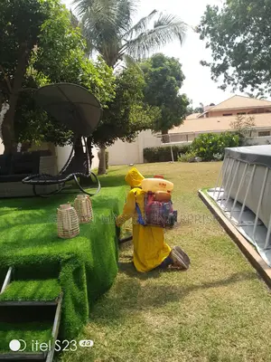 Mosquitoes,Bedbug,Cockroaches, Reptile Fumigation Service