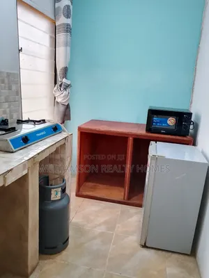 Flabbergasted Fully Furnished Luxury 1 BEDRM APT,SPINTEX