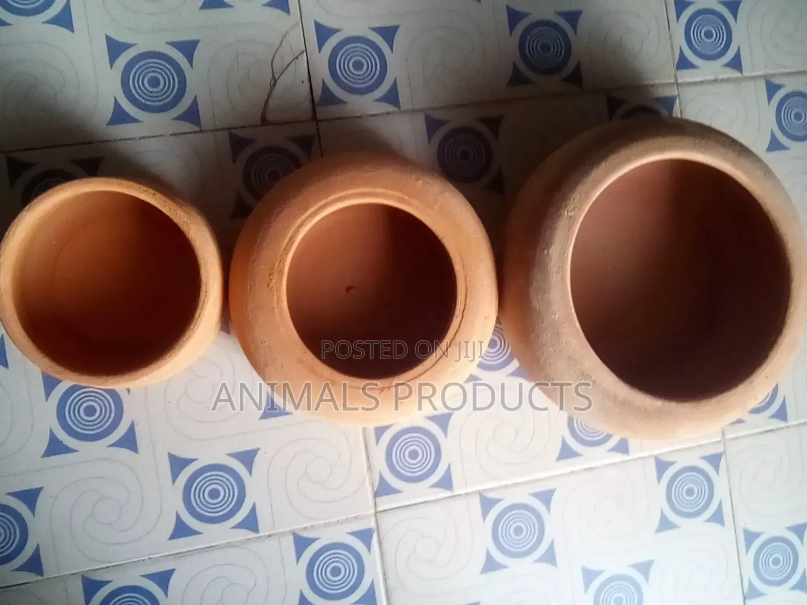 Drinkers And Feeders For Rabbits And Grasscutters