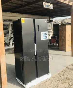 Elegant Nasco Side by Side Electric Refrigerator(Gray) 