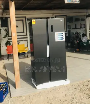 New Nasco Side by Side Electric Refrigerator(Gray) 