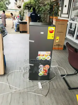 Elegant Galaxy 200bf Double Door Electric Fridge.