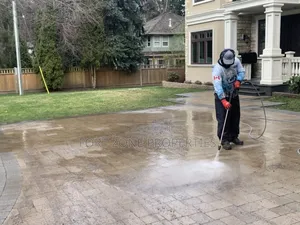 Best Place Cleaning Service With Cleantex