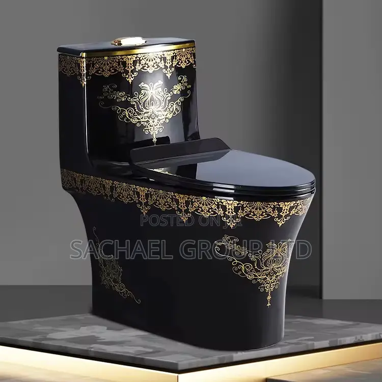 Luxurious Vanity Water Closet