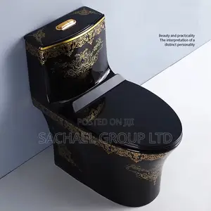 Luxurious Vanity Water Closet
