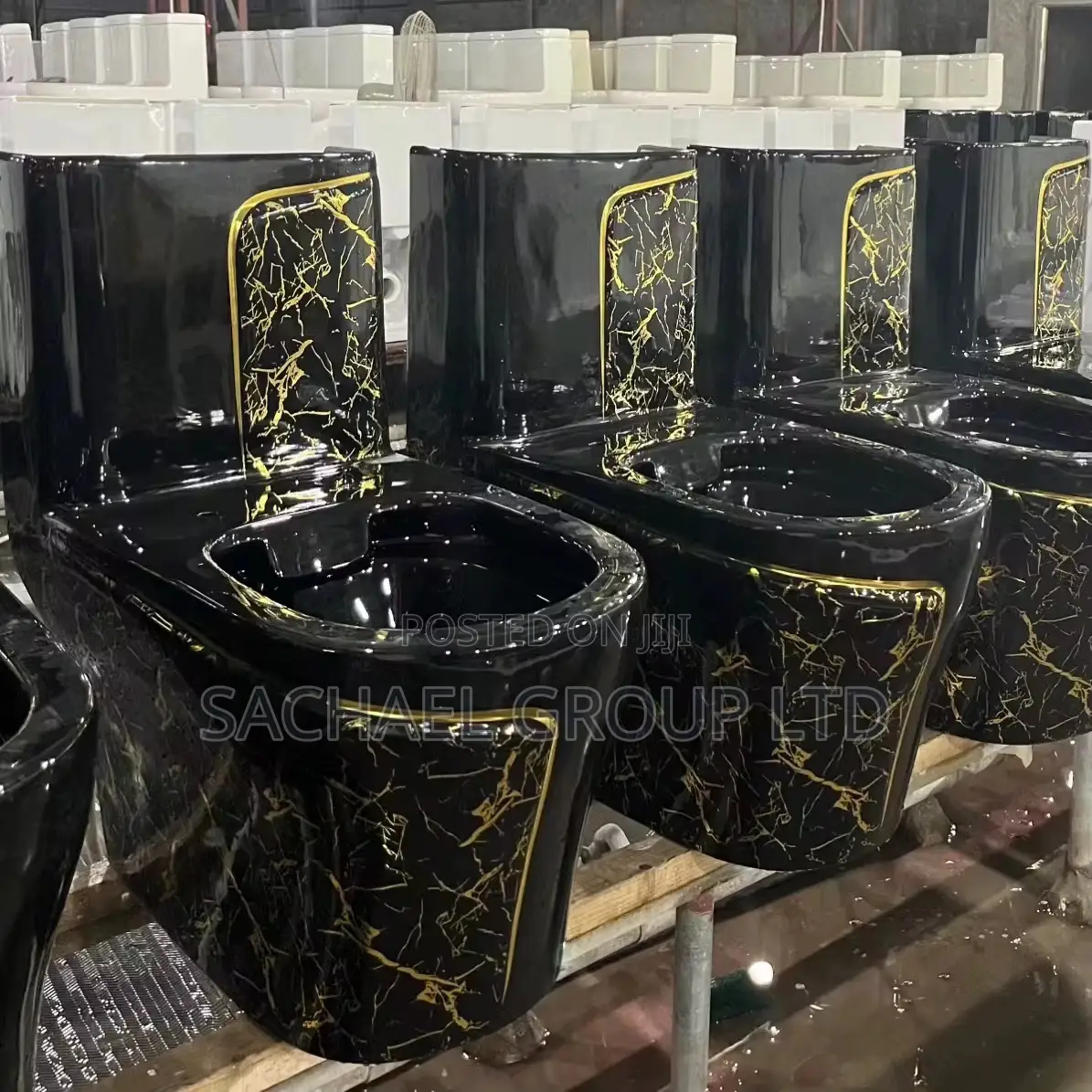 Luxurious Vanity Water Closet