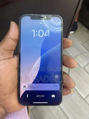 Apple iPhone 12 Pro 128 GB Gray