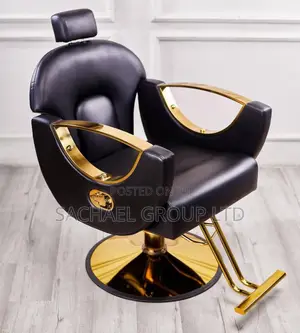 Salon Chair